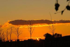 pôr do sol nos arredores de Berlim. o céu parece queimar foto