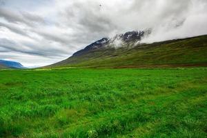 paisagem pitoresca com natureza verde na islândia durante o verão. imagem com uma natureza muito tranquila e inocente. foto