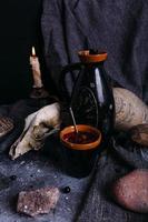 crânio de cachorro velho, jarro e pedras na mesa de bruxa. bebida encantada com pétalas de flores foto