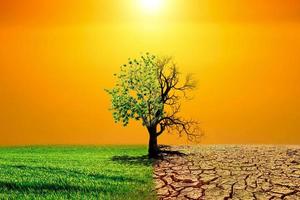 imagem do conceito de aquecimento global mostrando os efeitos da terra seca no ambiente em mudança foto
