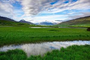 paisagem pitoresca com natureza verde na islândia durante o verão. imagem com uma natureza muito tranquila e inocente. foto