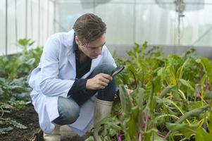 um homem cientista está analisando plantas de vegetais orgânicos em estufa, conceito de tecnologia agrícola foto