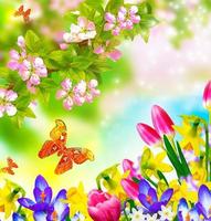 borboletas de insetos. maçã de ramo florescendo. fundo floral de primavera natural. flores coloridas.