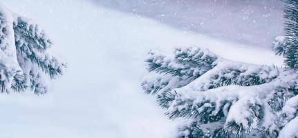 floresta de inverno congelado com árvores cobertas de neve. foto