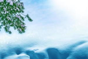 floresta de inverno congelado com árvores cobertas de neve. foto