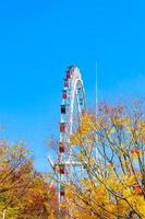 roda gigante e parque de diversões em everland coreia do sul. foto