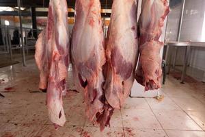 foco seletivo no enforcamento de carne fresca que foi abatida como resultado do sacrifício do eid al-adha, ou será vendida no mercado foto