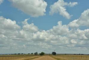 sinuosa estrada de terra através de terras agrícolas no verão foto