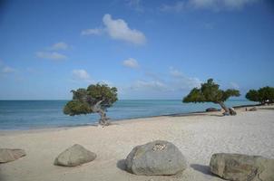 praia deserta da águia em aruba foto