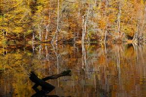 lago buyuk no parque nacional yedigoller, bolu, turquia foto