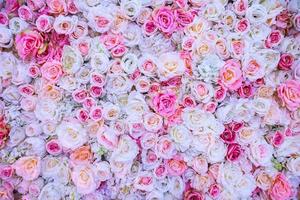 fundo de flores rosas foto