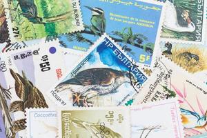 selos com tema de pássaros foto