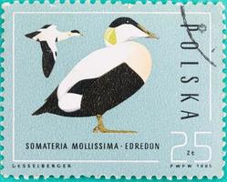 selos postais foram impressos na Nicarágua foto