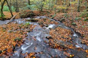 cachoeira no parque nacional yedigoller, bolu, turquia foto