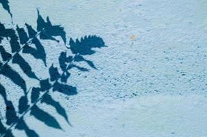 sombra das folhas e da árvore na velha parede pintada de azul para plano de fundo e textura. foto