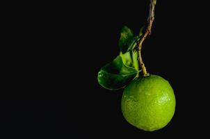 limão verde com folhas em fundo escuro. foto