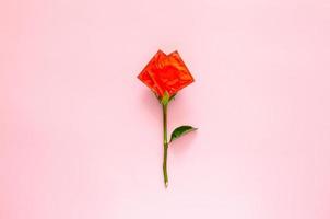 dois pacotes de preservativos definidos como forma de amor e flor rosa para sexo seguro mínimo, saúde sexual mundial e conceito de dia da aids. foto