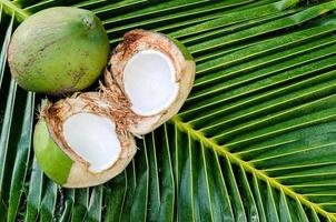 jovens frutas frescas de coco tailandês doce com carne branca colocar em suas folhas verdes para o conceito de frutas de verão. foto