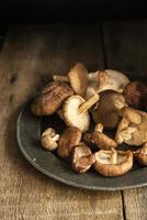 cogumelos shiitake frescos em ambiente temperamental de luz natural com vin