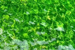 condição água verde refletindo no sol foto