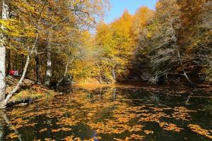 lago derin no parque nacional yedigoller, bolu, turquia foto