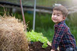 pequenos agricultores vivem em estufas de vegetais orgânicos, estilo de vida familiar saudável. filhos do agricultor. foto