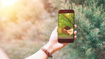 ajudando a plantar árvores para reduzir o aquecimento global foto