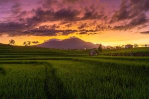 vista panorâmica da indonésia de terraços de arroz e montanhas pela manhã foto