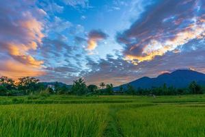 fundo panorâmico da bela paisagem natural da indonésia. manhã linda e ensolarada foto