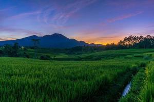 panorama da beleza natural da Ásia. ampla visão de campos de arroz verde com água corrente foto