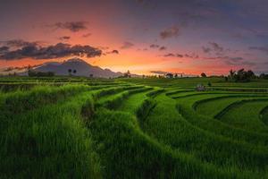 retrato da natureza de campos de arroz e montanhas na indonésia rural com nascer do sol foto