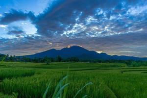 fundo de belas paisagens naturais da Indonésia. vista matinal nos campos de arroz em bali foto