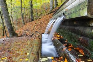 fonte no parque nacional yedigoller, bolu, turquia foto