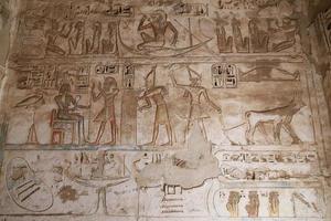 hieróglifos egípcios no templo medinet habu, luxor, egito foto