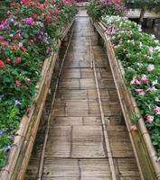 ponte de bambu com a fileira de flores. foto