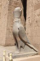 estátua de horus no templo de edfu, edfu, egito foto