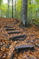 caminho no parque nacional yedigoller, bolu, turquia foto