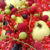 variedade de frutas diferentes. uma cesta de frutas. fundo de bagas de verão. fotos de groselhas, groselhas, framboesas, maçãs