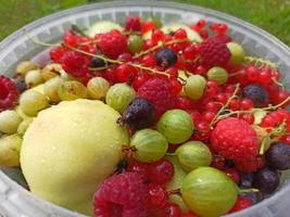 variedade de frutas diferentes. uma cesta de frutas. fundo de bagas de verão. fotos de groselhas, groselhas, framboesas, maçãs