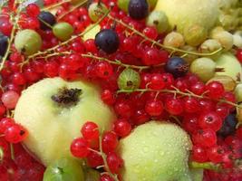 variedade de frutas diferentes. uma cesta de frutas. fundo de bagas de verão. fotos de groselhas, groselhas, framboesas, maçãs