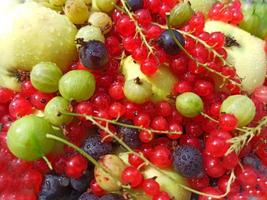 variedade de frutas diferentes. uma cesta de frutas. fundo de bagas de verão. fotos de groselhas, groselhas, framboesas, maçãs