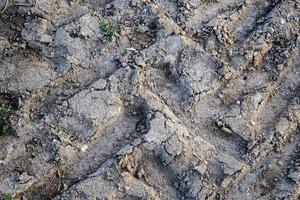 vista detalhada de perto em terrenos agrícolas e acre em alta resolução foto