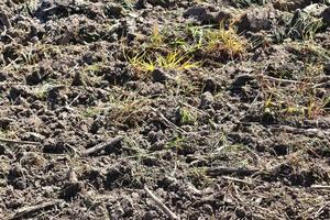 vista detalhada de perto em terrenos agrícolas e acre em alta resolução foto