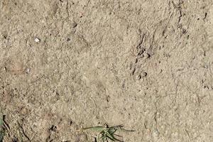 vista detalhada de perto em terrenos agrícolas e acre em alta resolução foto