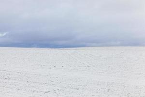 após a queda de neve, campo foto