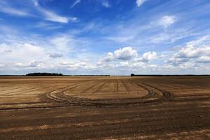 campo arado. céu foto