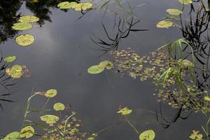 água no lago foto