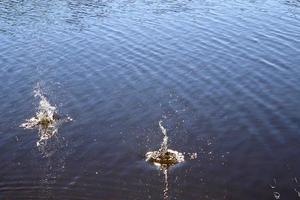 bela água em um lago com salpicos de água e ondulações na superfície com nuvens e reflexos do céu azul foto