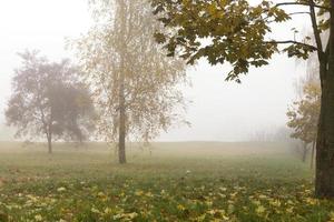 neblina na temporada de outono foto