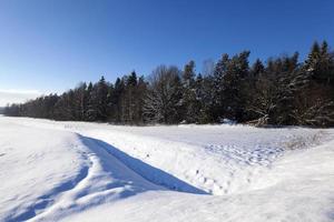 neve no chão foto